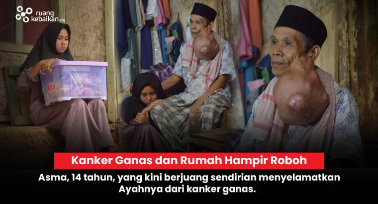 WhatsApp Image 2025-11-05 at 15.56.45